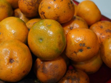 fresh orange and green tangerines