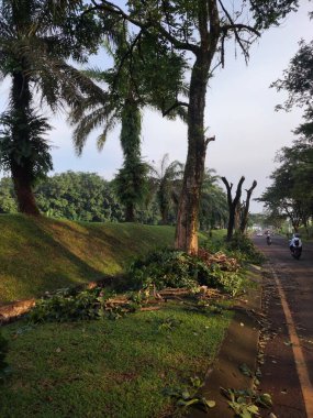Güzel bir park manzarası.