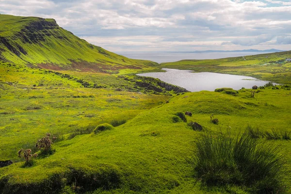 Typiska Gröna Ängar Och Havet Isle Skye Skottland Solig Vacker — Stockfoto