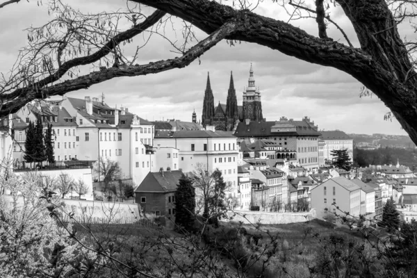 Romantikus Tavaszi Kilátás Prágai Várra Környező Történelmi Központ Panoráma Egy — Stock Fotó