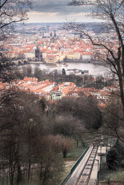 Красные Крыши Старого Города Праги Просматриваются Сквозь Лиственные Деревья Облачный — стоковое фото