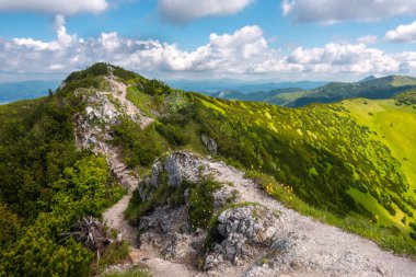 Slovakya 'nın Mala Fatra Ulusal Parkı' ndaki engin dağların manzarası, sıcak bir yaz günü bulutlu bir gökyüzü. Dağlarda yaz yürüyüşü. Yeşil ve mavi renkler. Sırtta yürüyüş parkuru.