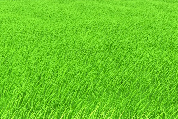 Grasfeld Grüne Wiese Oder Rasen Natürliche Hintergrundtextur Mit Kopierraum Gerenderte — Stockfoto