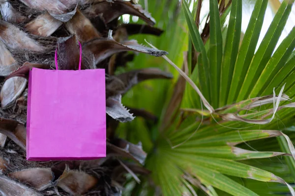 Roze Heldere Papieren Zak Een Palmboom Mockup — Stockfoto