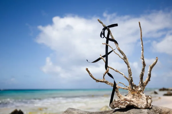 Martwy Koral Plaży Czarną Wstążką — Zdjęcie stockowe