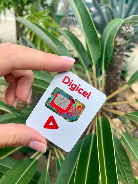 在热带植物背景下 女人手握Digicel Sim Card的照片 免版税图库照片