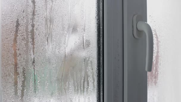 Glass Condensation Water Drops Flow Glass Window Footage — Vídeo de stock