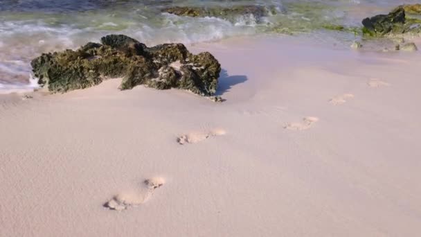 波はサンゴのピンクのビーチで足跡を洗い流した 4K映像 — ストック動画