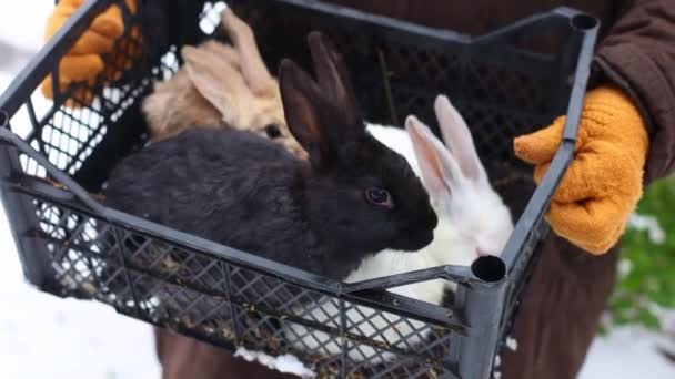 农夫拿着兔子篮子 农场动物 4K镜头 — 图库视频影像
