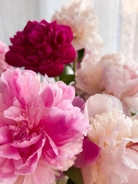 Bouquet Multicoloured Peonies Closeup Light Blurred Background — Stock Photo, Image