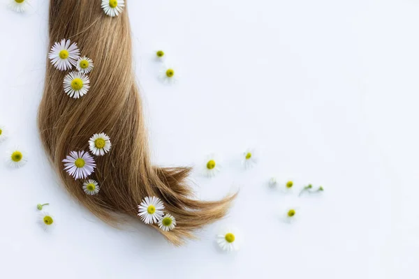 Papatya Çiçekleri Pürüzsüz Saçlar Saç Bakım Konsepti Saç Için Şifalı — Stok fotoğraf