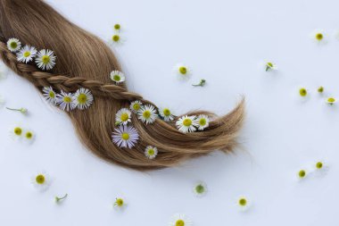 Beyaz kır çiçekli saçlar. Saç için şifalı bitkiler.