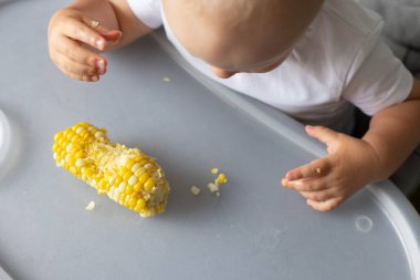 Baby eating sweet corn kernels from the table. clipart