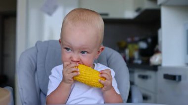 Küçük çocuk mısır koçanı yiyor. 4k görüntü