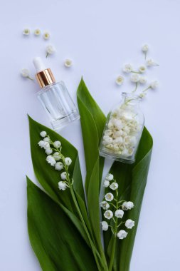 Cam bir şişe vadi zambağı taze çiçeklerle birlikte gerekli yağ. Düz yatıyordu