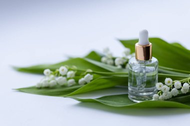 Cam bir şişe vadi zambağı taze çiçeklerle birlikte gerekli yağ. Yakın çekim.