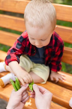Küçük çocuk taze yeşil bezelye yer, bu da babasına verir. Sağlıklı gıda konsepti. Seçici odak