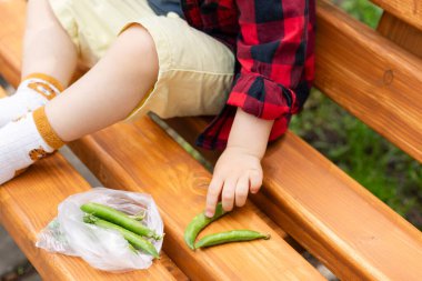 Küçük çocuk taze yeşil bezelye yer. Seçmeli odak, ayrışma