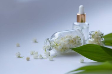 Cam bir şişe nilüfer çiçeği ve taze çiçekli gerekli yağ.