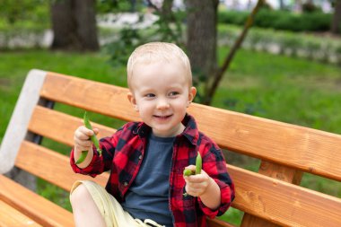 Elinde bezelye kabuklarıyla bahçede bir bankta oturan gülümseyen küçük çocuğun portresi.