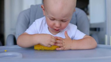 Tatlı mısır koçanı yiyen aç küçük çocuk. 4k görüntü