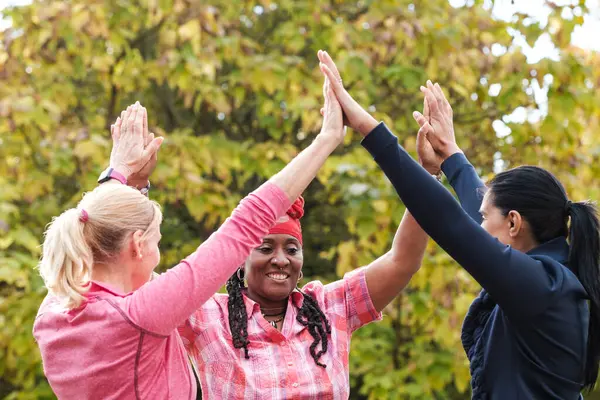 Sonbaharda parkta beşlik çakan üç olgun kadın. Dışarıdaki egzersiz gününün tadını çıkaran çok ırklı bir arkadaş grubu. Sağlıklı yaşam tarzı kavramı.
