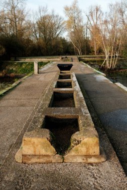 Concrete remains of filter beds infrastructure at middlesex filter beds nature reserve, situated along the river lea or lee valley in london, showcasing industrial heritage amidst a natural setting clipart