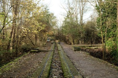 Eski bir dar ölçü demiryolunun kalıntıları üzerinde büyüyen yosun, Londra 'daki Middlesex filtre yataklarının ormanlarında kayboluyor. Lea nehrinin ya da Lee navigasyonunun yanında doğa rezervi var.