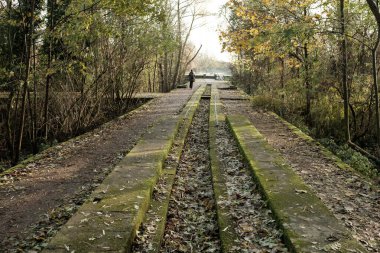 Middlesex filtre yataklarında eski filtre yataklarının beton tabakaları arasında büyüyen yosun. Doğa koruma alanı, Londra, İngiltere. Uzakta yürüyen bir turist var.