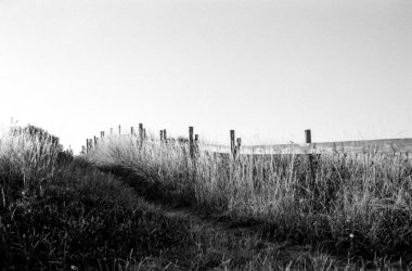 Tahta bir çitin, bulutlu bir günde, ufuk çizgisi düşük ve açık bir gökyüzü ile uzun otların arasında kayboluşunu tasvir eden taneli monokrom analog klasik fotoğraf.