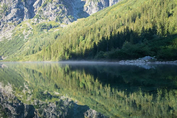 Detail Still Alpine Tarn Reflecting Its Surrounding Early Morning Poland — Stock Photo, Image
