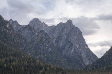 Sonbahar renklerinde orman ve dik dağları olan Alp Vadisi, İtalya, Avrupa.