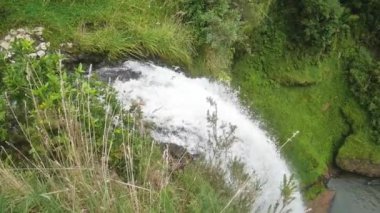 Tropikal şelale akışının tepesinden aşağıya bakan, soldan sağa tam HD dalgalanması, Yeni Zelanda.