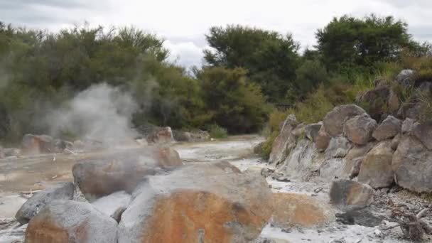 Geothermal Landscape Steam Coming Ground Full Rotorua New Zealand — Stock Video