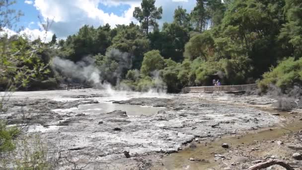 Tourists Walking Steaming Geothermal Mud Lake Full New Zealand — Stock Video