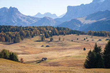 Dağları ve ormanları olan engin ve güzel sonbahar manzarasında küçük bir kulübe, Dolomitler, İtalya.