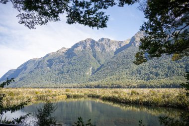 Ağaç dalları, Fiordland, Yeni Zelanda ile çerçevelenmiş ön planda gölü olan dağ sırası.