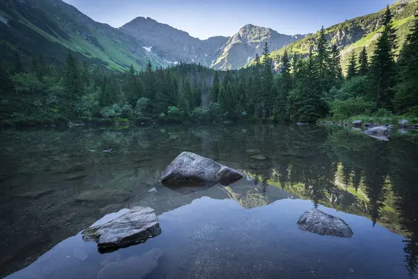 Kristal berrak el değmemiş dağ gölü çevresindeki dağ ve ormanı yansıtıyor, Slovakya, Avrupa.