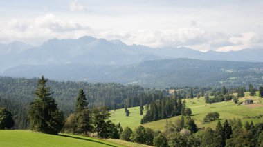 Yeşil otlakları, ormanları ve arka planda dağları olan ideal manzara, Avrupa ve Slovakya.