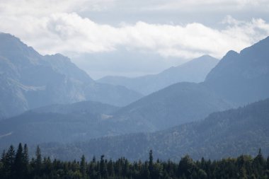 Önünde orman, Slovakya ve Avrupa 'nın bulunduğu dağlık bir arazi..