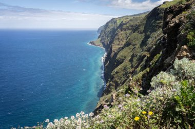 High green grassy cliffs towering above azure ocean waters, Madeira, Portugal. clipart