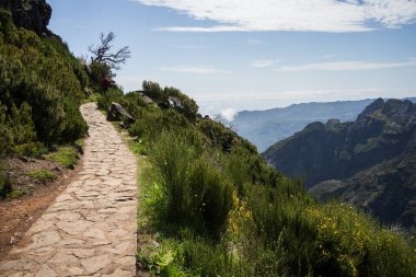 Portekiz, Madeira dağının kıyısında taşlı yürüyüş patikalarında yürüyen turistler.