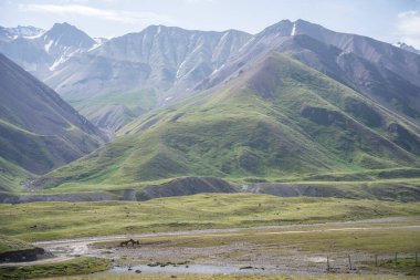 Yeşil çayırlı, güzel dağlık arazide sarılan iki at, Pamir dağları, Kırgızistan.
