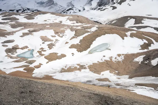 Uçsuz bucaksız bir dağ manzarasında yalnız küçük yürüyüşçü, Pamir Dağları, Kırgızistan.