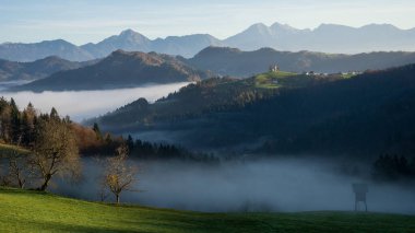 Slovenya dağının tepesinde orman, sis ve küçük kiliseyle güzel sonbahar manzarası, Avrupa.