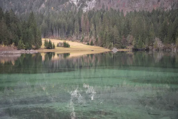 Taze yeşil alp gölü çevresindeki sonbahar ormanı, İtalya ve Avrupa 'yı yansıtıyor..