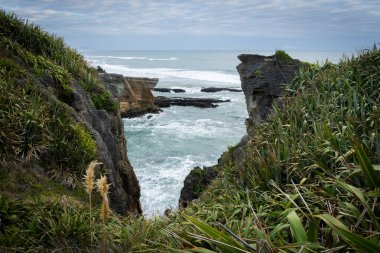 Krep kayaları, pürüzlü okyanus ve yemyeşil yapraklı kıyı manzarası, Yeni Zelanda.