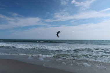 Kuzey Florida 'nın Atlantik kıyısında güzel bir okyanus manzarası