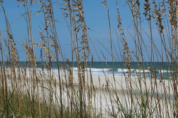 Vacker Utsikt Över Havet Och Sanddyner Floridas Strand — Stockfoto