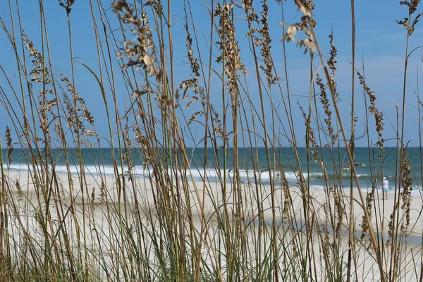 Vacker Utsikt Över Havet Och Sanddyner Floridas Strand Stockbild